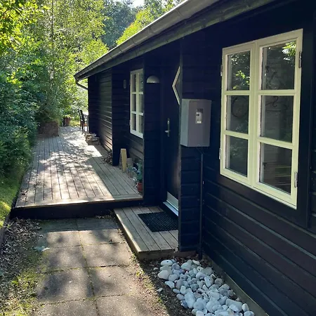 Fine Details In Forest Setting In Ebeltoft