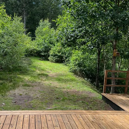 Fine Details In Forest Setting In Prázdninový dům *