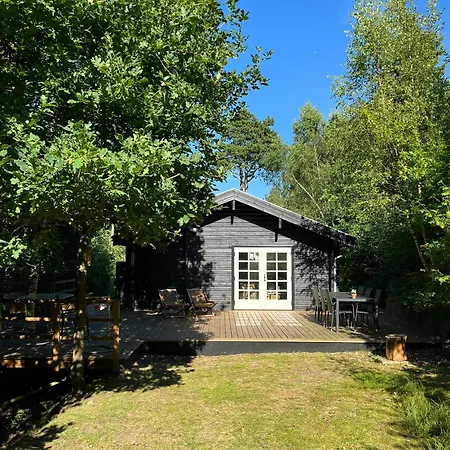 בית נופש Fine Details In Forest Setting In *