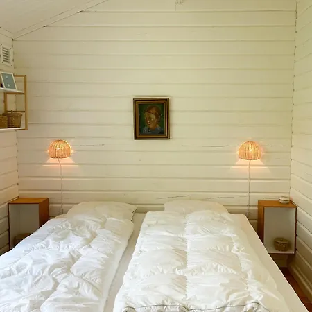 Fine Details In Forest Setting In *