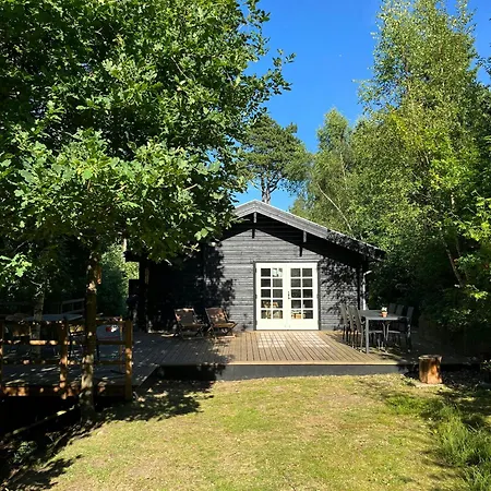 Fine Details In Forest Setting In Prázdninový dům *